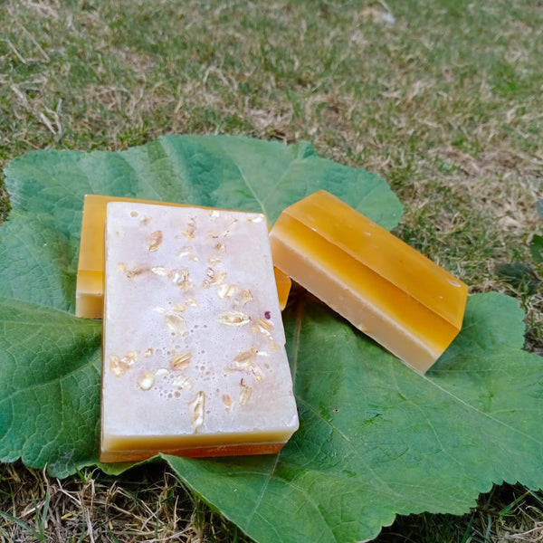 🌾 Honey and Oat Rice Bar 🌾