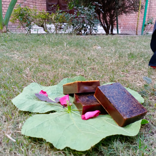 Beet & Pomegranate Bar 🫜